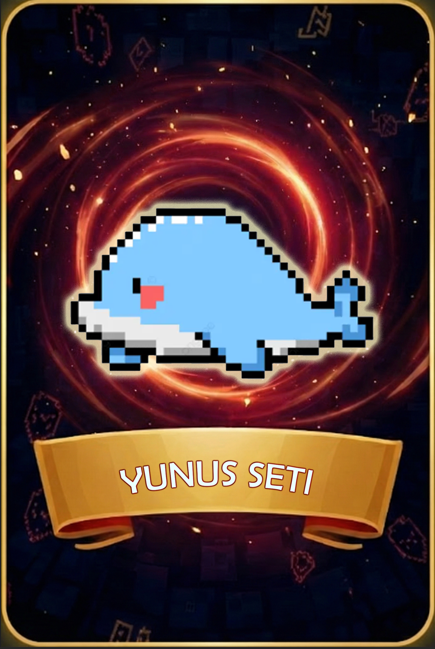 Mağaza - YUNUS SET Ürün